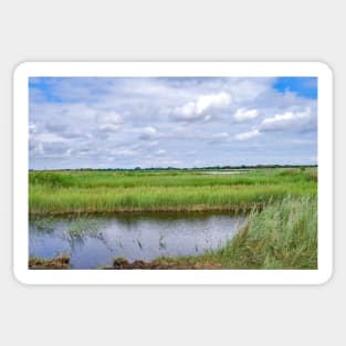 A view across Hickling Nature Reserve Sticker